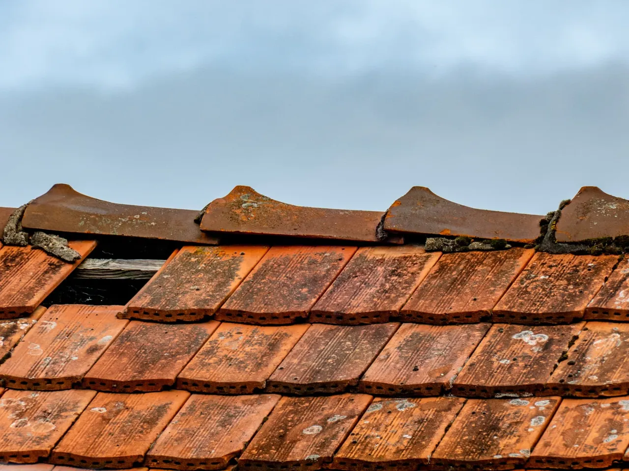 Weathered clay roof tiles with a slipped tile and gap exposing the timber batten beneath